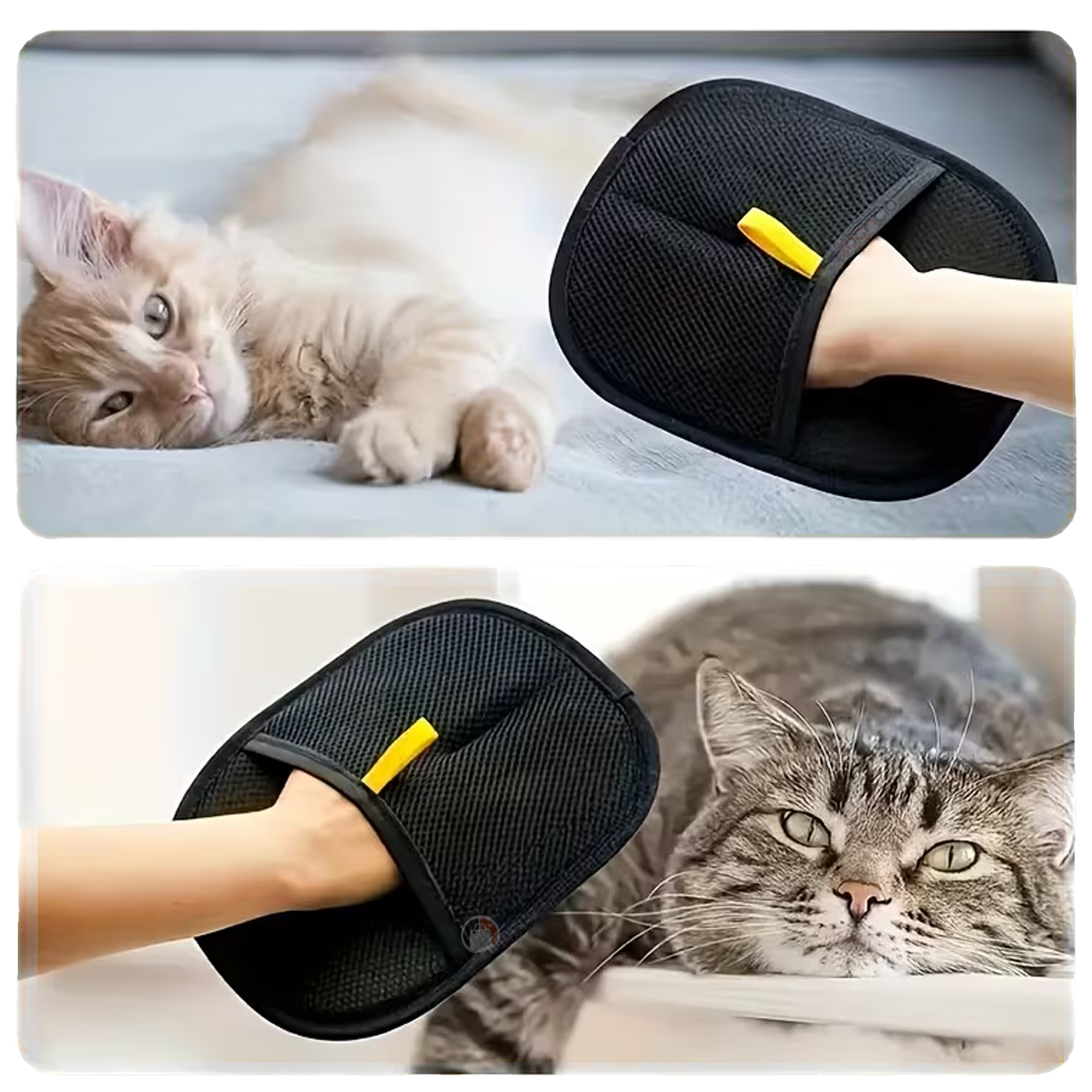 Combox2 Guante Quita Pelos Mascotas Cepi